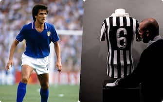 Scirea