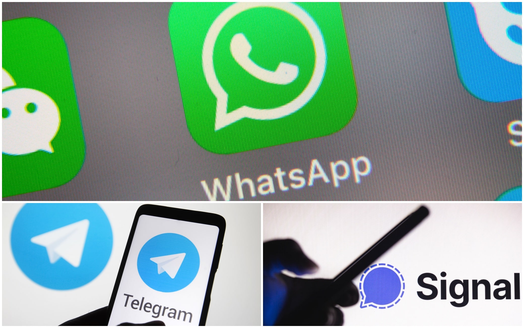 From Telegram to Signal, WhatsApp’s rivals are growing but show the first problems