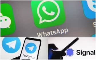 app telegram whatsapp signal