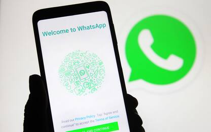 Versione WhatsApp rosa, attenzione alla nuova truffa
