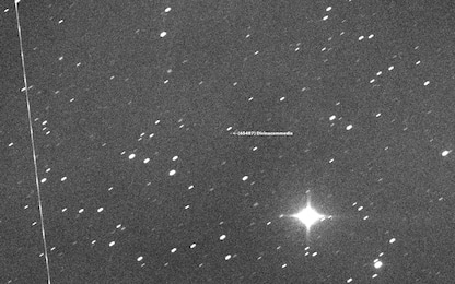 L’asteroide “Divinacommedia” nell’obiettivo dell’astrofisico Masi
