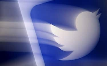 twitter logo ansa