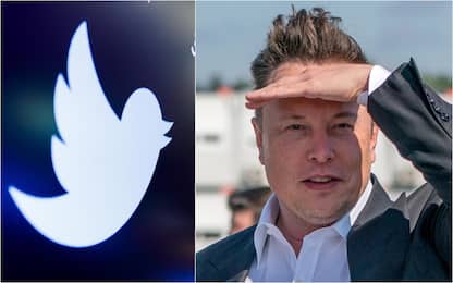 Twitter, gli investitori fanno causa a Musk: ha manipolato il mercato