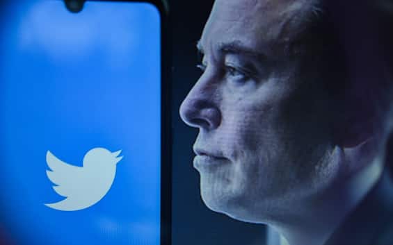 Elon Musk against Tim Cook: “Threat to block Twitter on the Apple Store”