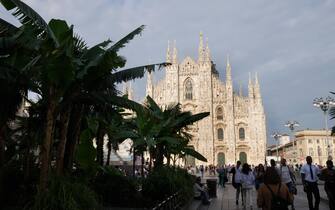 Le piante di Palme in Piazza Duomo Milano, Le piante di Palme in Piazza Duomo, presto ci sara un concorso per cambiare il decoro in Piazza Duomo (Milano - 2022-06-03, DUILIO PIAGGESI) p.s. la foto e' utilizzabile nel rispetto del contesto in cui e' stata scattata, e senza intento diffamatorio del decoro delle persone rappresentate