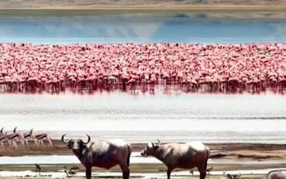 Telespazio, le immagini del calendario Love Planet Earth 2023