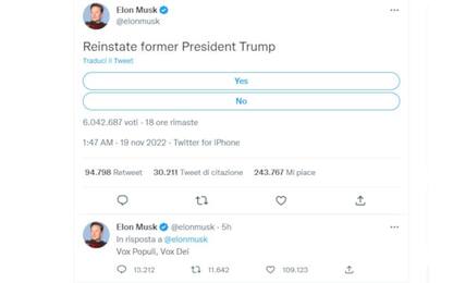Elon Musk lancia un sondaggio su Twitter: “Riammettere Donald Trump?”
