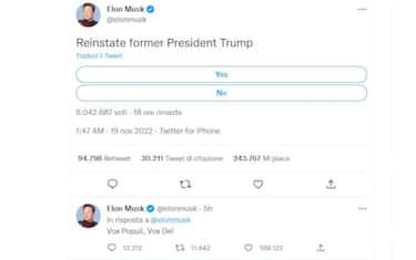 Il sondaggio di Musk su Trump
