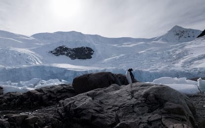 Uncover Antarctica, Oppo Find X2 Pro messo alla prova