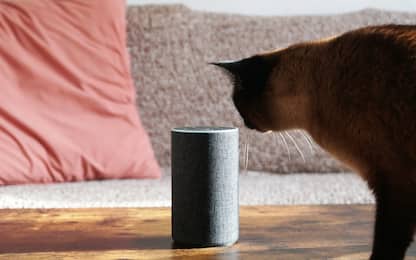 È la voce la nuova frontiera dell'e-commerce