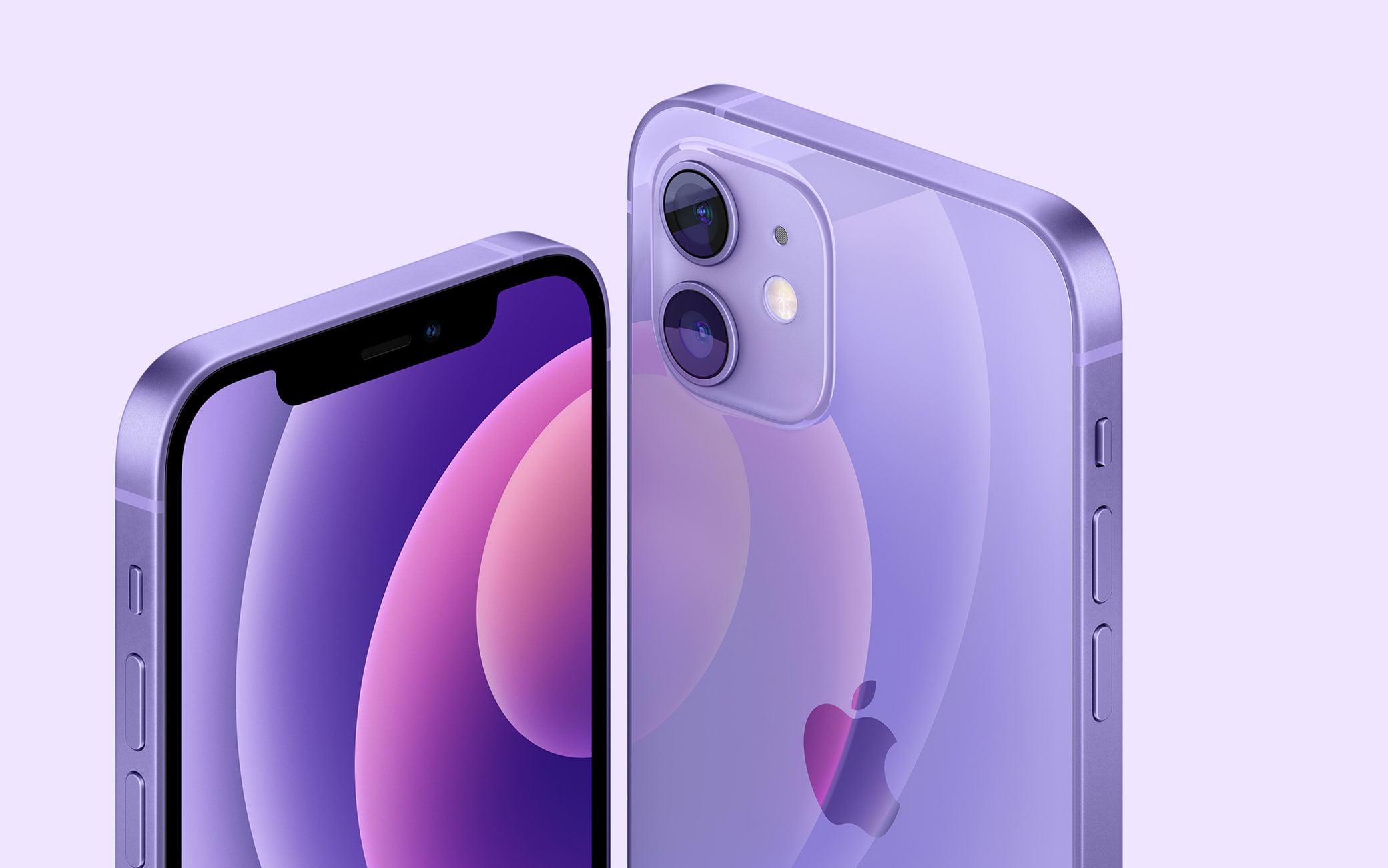 Viola, il nuovo colore di iPhone 12 Viola, il nuovo colore di iPhone 12