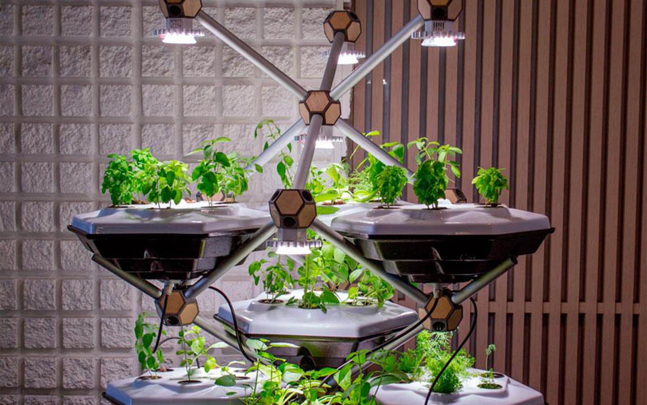 Living Farming Tree, the fully digitized IoT vertical vegetable garden