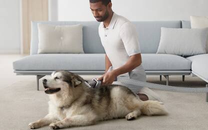 Cani e gatti, arriva la tecnologia anti-peli per tenere pulita la casa