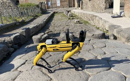 Spot, il nuovo robot custode di Pompei