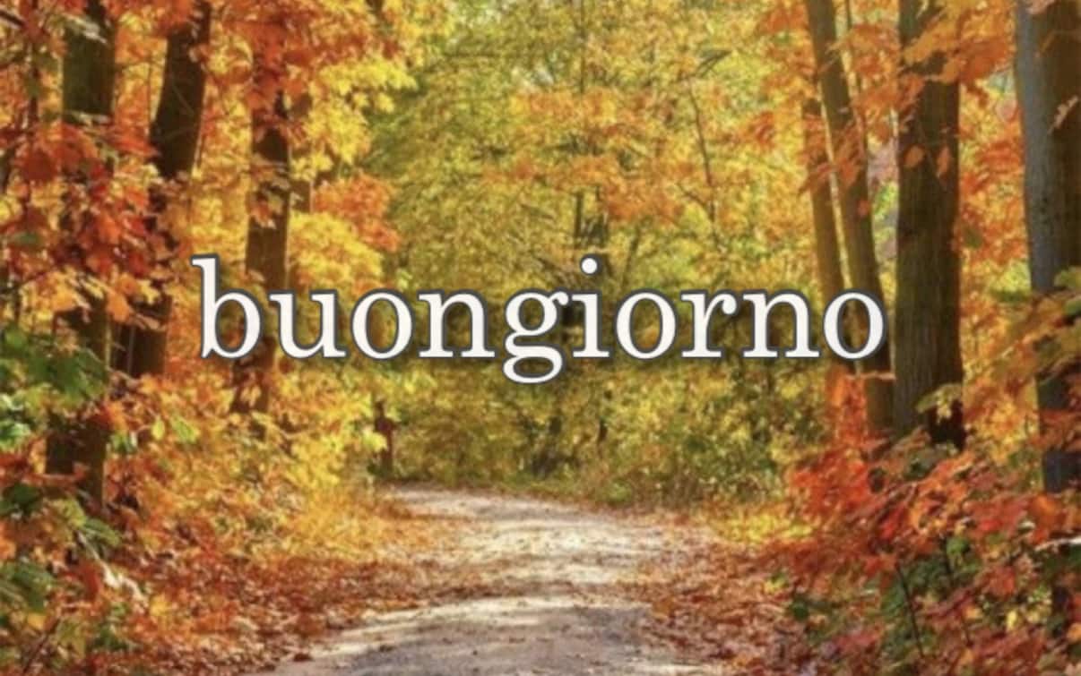Primo giorno di autunno 2021 immagini di buongiorno, frasi e gif Sky TG24