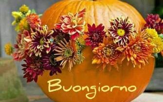 messaggi arrivo autunno messaggi arrivo autunno