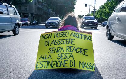 Torino, protesta degli attivisti ambientalisti “Extinction Rebellion”