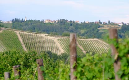 Presentato il progetto della Strada del Vino GranMonferrato