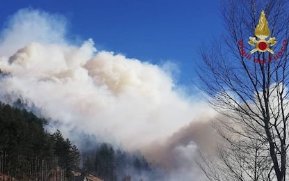 Incendio in Val di Susa, fiamme nei boschi nella zona del Col del Lys