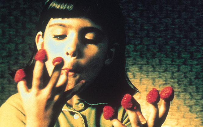 Il Favoloso Mondo Di Amelie Streaming Ita