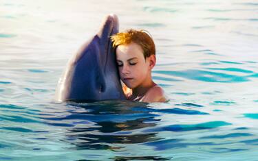 echo-delfino