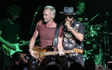 sting-shaggy