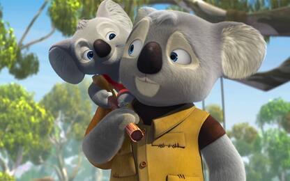 Family Time, suggestioni per tutti tra Koala e Orsi