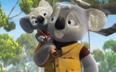 billy-il-koala