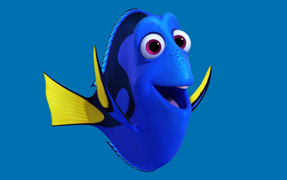 Come Si Chiama La Tartaruga Di Nemo