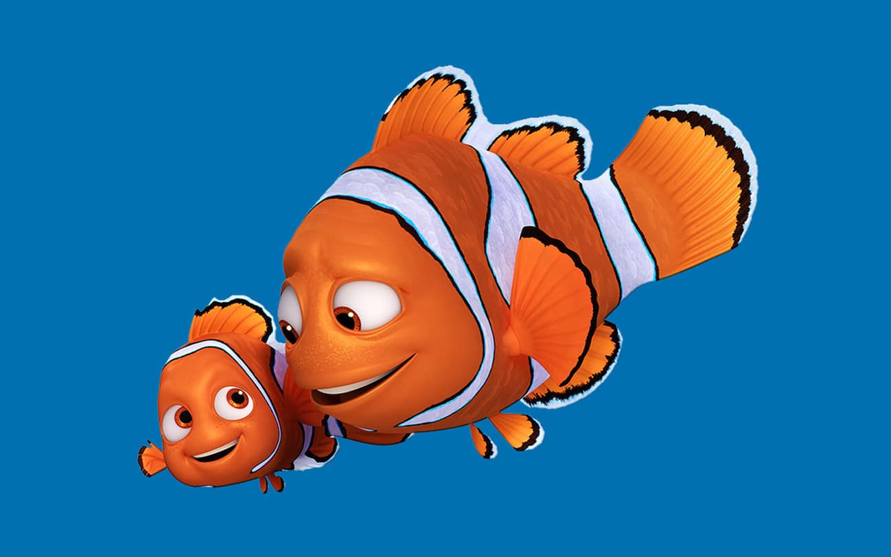 Come Si Chiama La Tartaruga Di Nemo