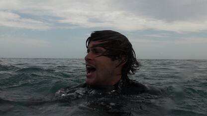 Open Water 3 – Cage Dive, il terzo capitolo della saga su Sky Cinema