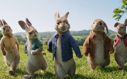 Peter Rabbit: giù le zampe dal nostro orto!
