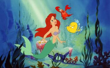 ariel