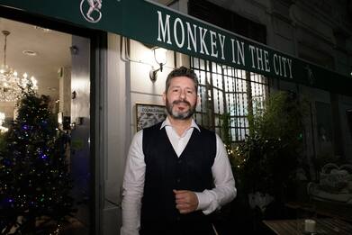 Monkey in the city, Milano: 4 cose da sapere