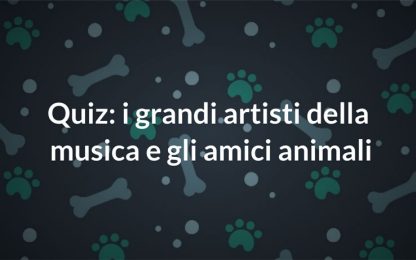 Quiz: gli animali e il mondo della musica