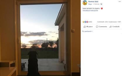 Sala, il cane lo attende: la foto che commuove