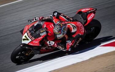 davies1