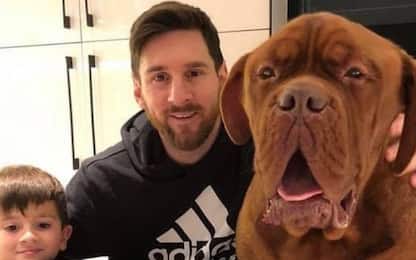 Messi, il cane Hulk diventa star del web