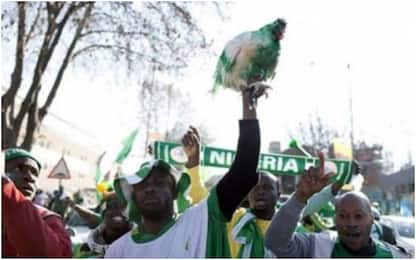 Nigeria, vietati i polli portafortuna allo stadio