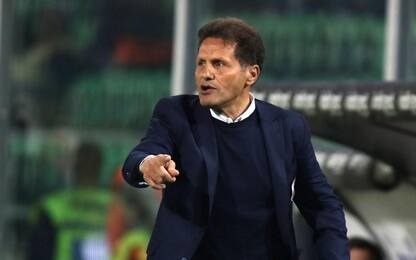 Avellino, campo e mercato: domani arriva Lezzerini