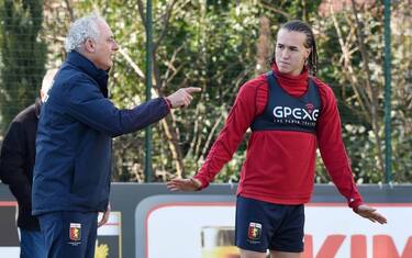 mandorlini_laxalt_genoacfc