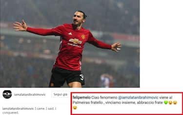 ibrahimovic