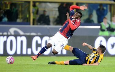 Verona-Bologna