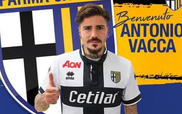 Parma_Vacca