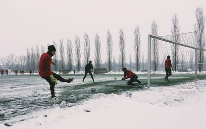 Cremonese, Almici ko per la Ternana