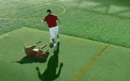 Messi sfida il cane Hulk: il video è virale