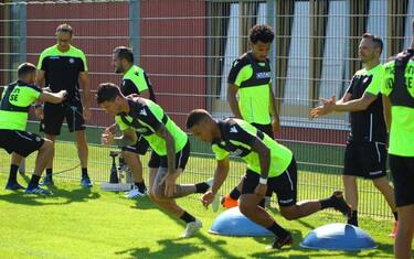udinese