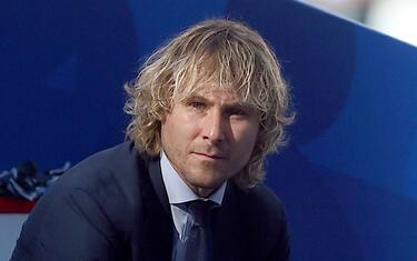 NEDVED