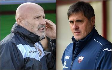 Salernitana, Colantuono si dimette. Calori in pole