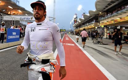 Alonso alla 500 Miglia: "Mi rinfresco la testa"
